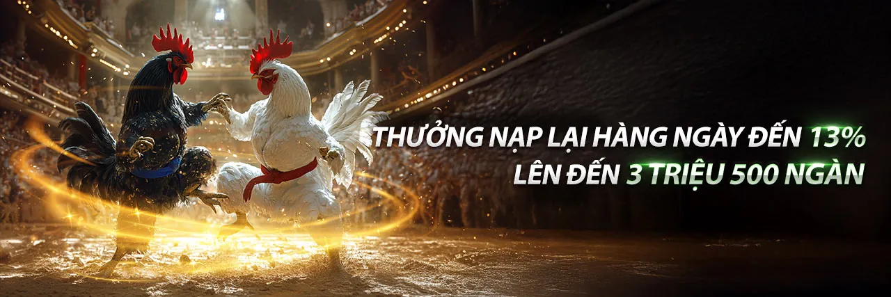 Đấu trường đá gà Vwin kịch tính